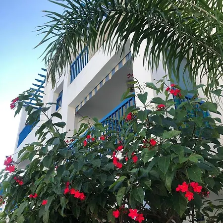Pool View Paphos